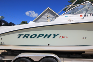 2008 Trophy Pro 2302 WA