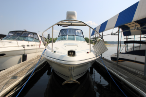 2006 Cruisers Yachts 320 Express